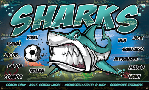 Sharks - 1270
