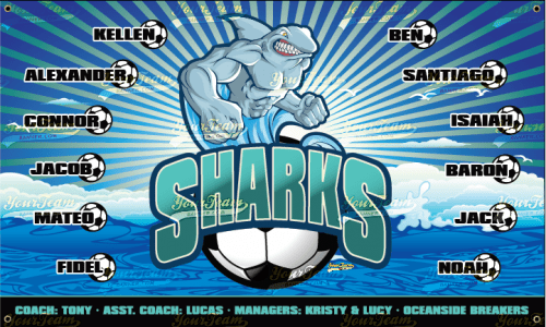 Sharks - 1272