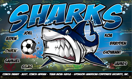 Sharks - 1273