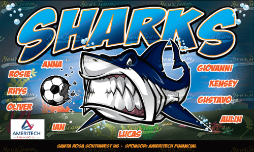 Sharks - 1275
