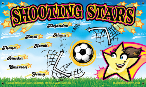 Shooting Stars - 1301