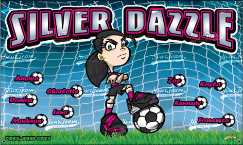 Silver Dazzle - 1320