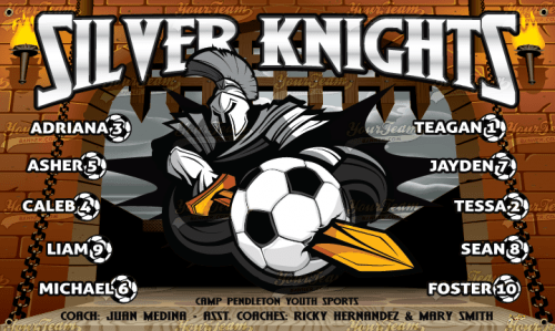 Knights, Silver - 830