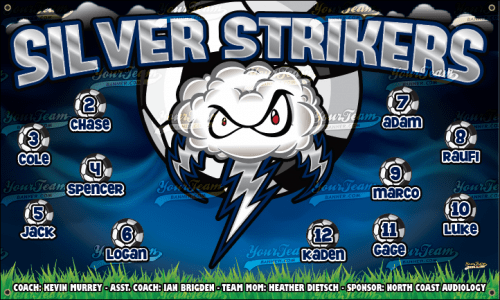 Strikers, Silver - 1392