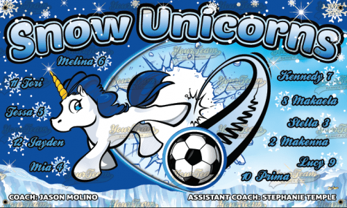 Unicorns, Snow - 1593