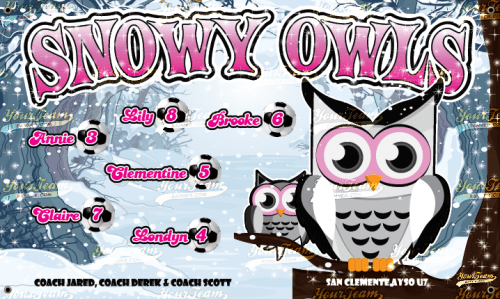 Owls, Snowy - 992