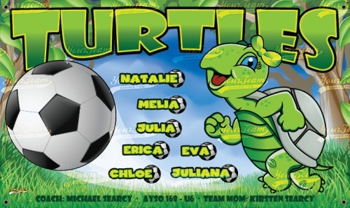 Turtles - 1580