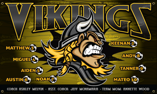 Vikings - 1600
