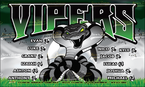 Vipers - 1612