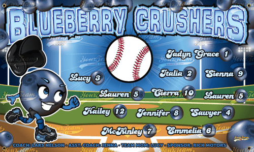 Blueberry Crushers -290