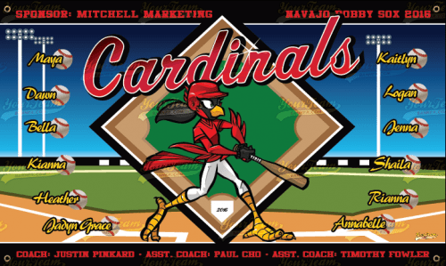 Cardinals - 380