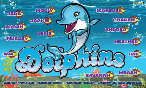 Dolphins - 300