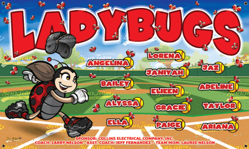 Ladybugs - 800