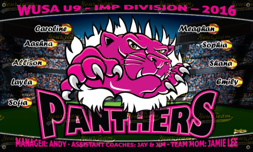 Panthers - 1093