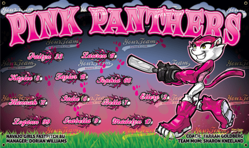 Panthers, Pink - 1100