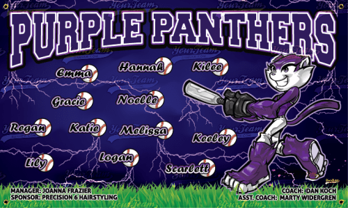 Panthers, Purple - 1125