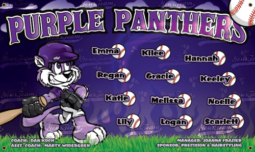 Panthers, Purple - 1126