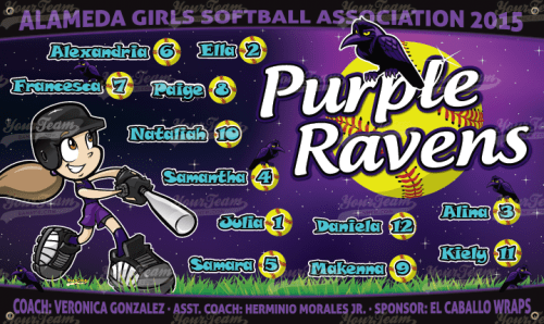 Ravens, Purple - 1215