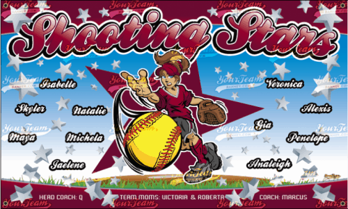 Shooting Stars - 1262