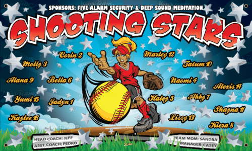 Shooting Stars - 1261